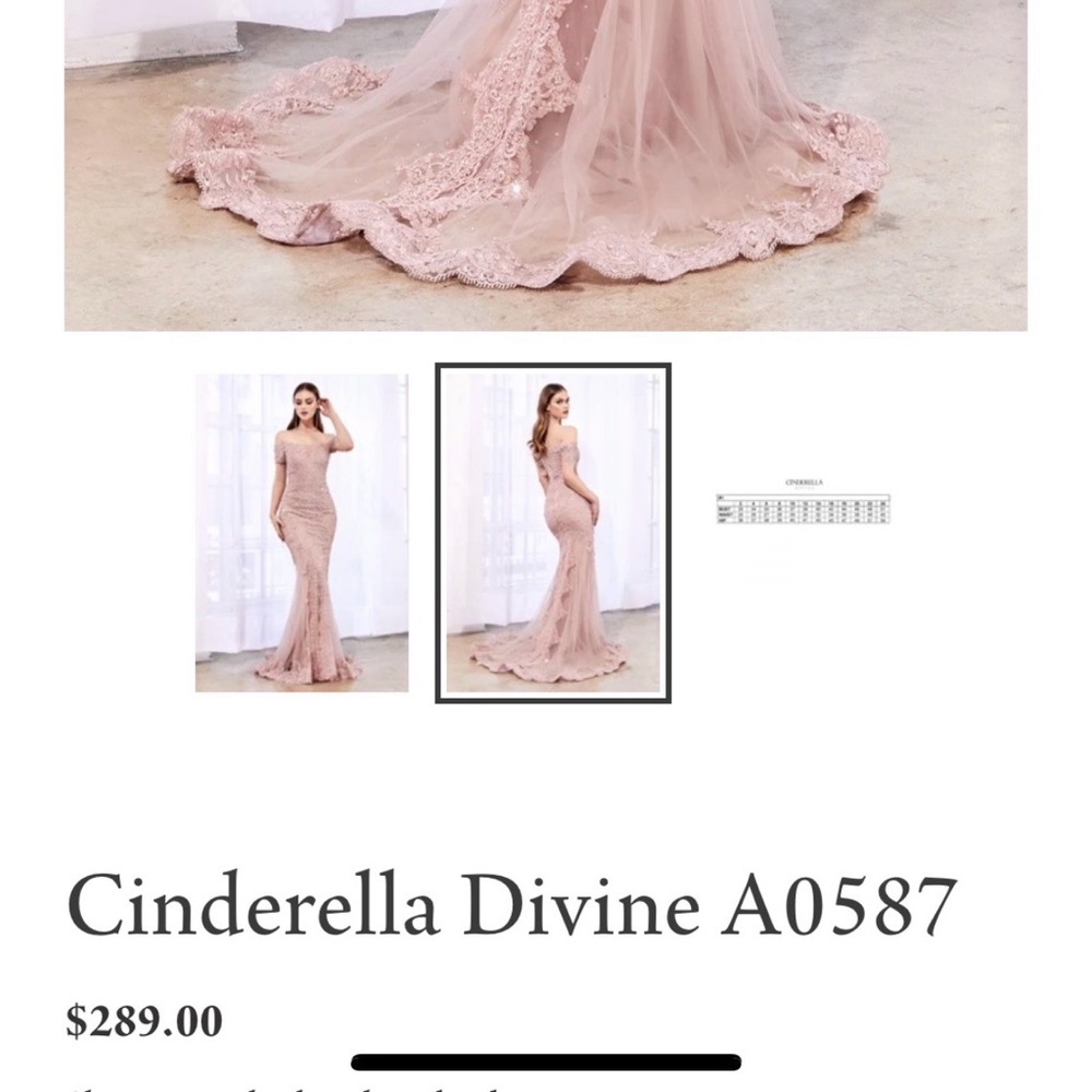 CINDERELLA DIVINE DRESS - Picture 2 of 6